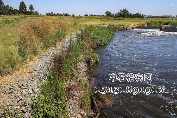 防洪固濱籠價格咨詢13131891918 防洪固濱籠價格咨詢13131891918