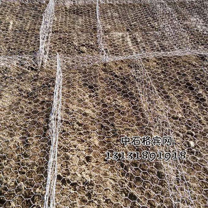 鍍高爾凡雷諾護墊